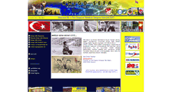 Desktop Screenshot of amigosefa.com
